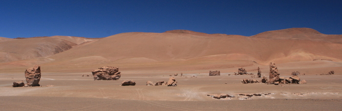 Chili Monjes de la Pacana Ekla